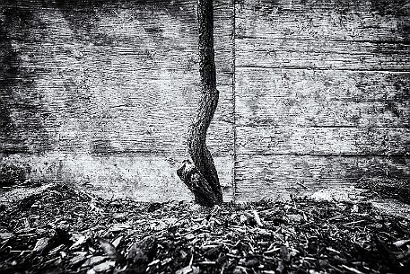 Kunst und Natur am Zugersee Switzerland null