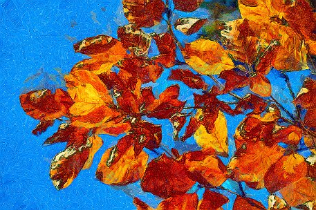 Herbst_Laub_20181026_18 null