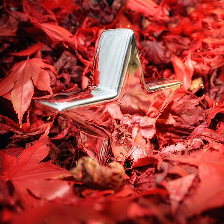 Weihnachtsstern null