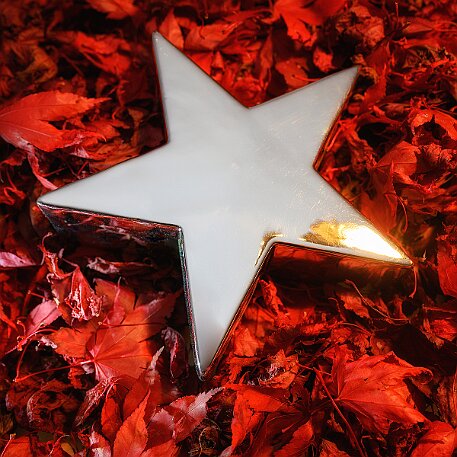 Weihnachtsstern null