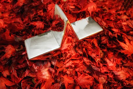 Weihnachtsstern null