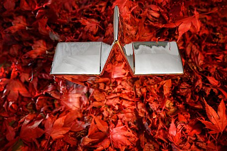 Weihnachtsstern null