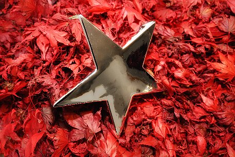 Weihnachtsstern null