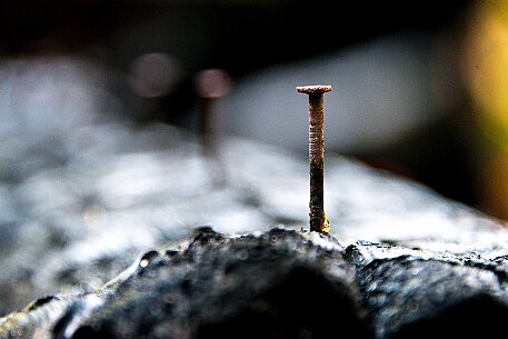 Feuer im Porter Wald null