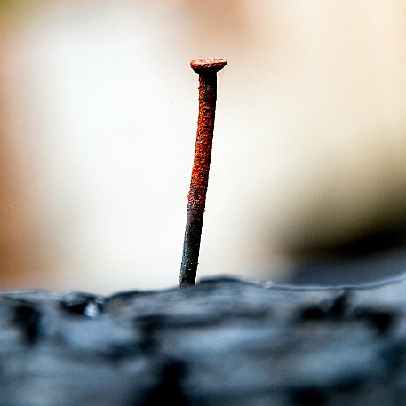 Feuer im Porter Wald null