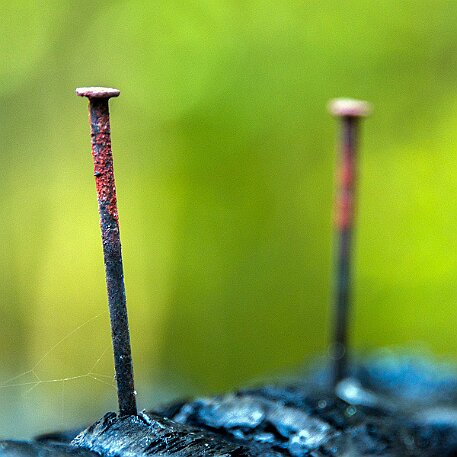 Feuer im Porter Wald null