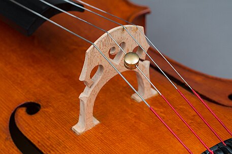 Violoncello von Noëlle Baechler Port null