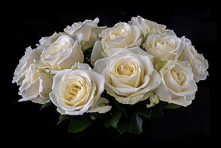 Rosen_20220709_02 null