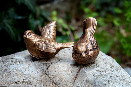 FototageBiel_20150912_136 null