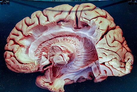 Bieler Fototage 2019 null