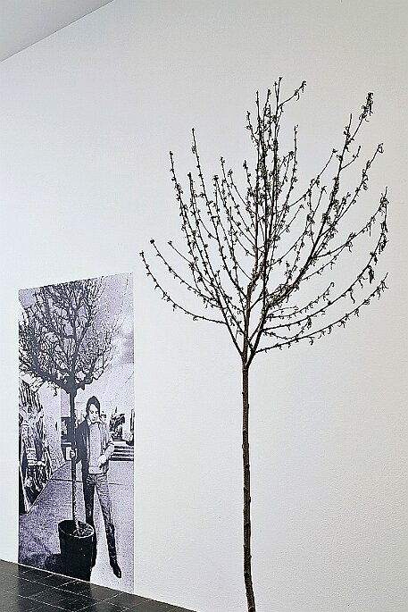 Bieler Fototage 2023 null