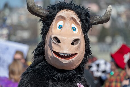 Lozärner Fasnacht 2019 null