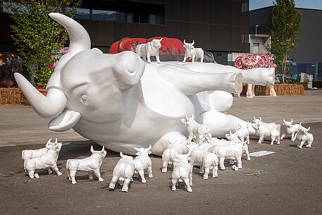 Stierparade Zug null