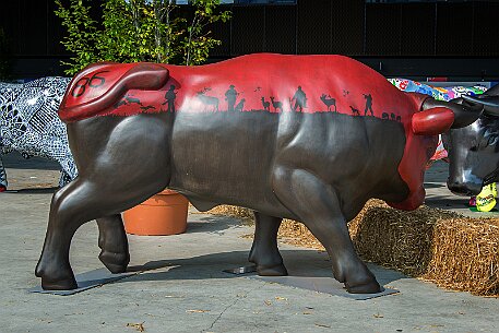 Stierparade Zug null