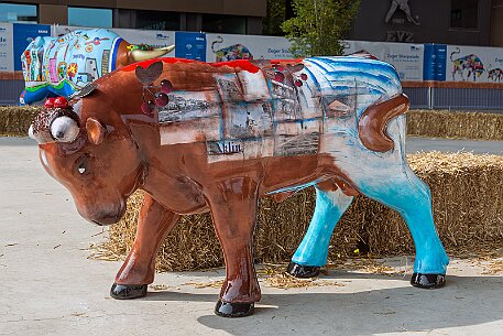 Stierparade Zug null