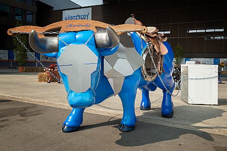 Stierparade Zug null