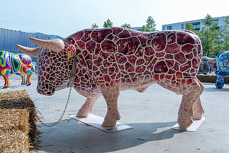 Stierparade Zug null