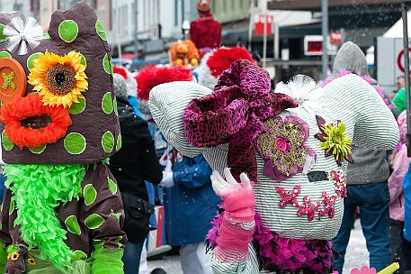 Bieler Fasnachtsumzug 26.02.2012 null