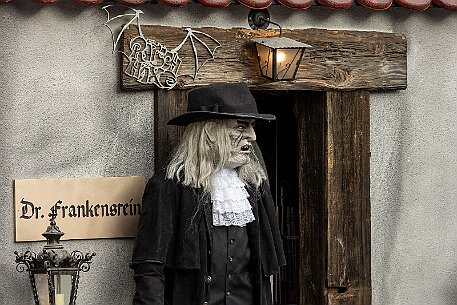 Luzerner Fasnacht 2024 null