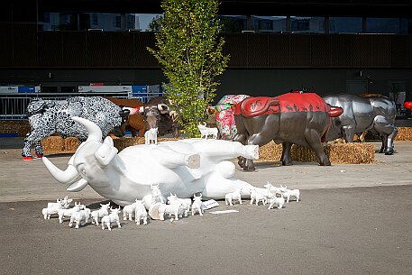 Stierparade Zug null