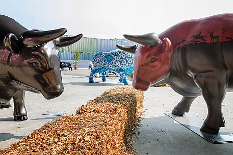 Stierparade Zug null