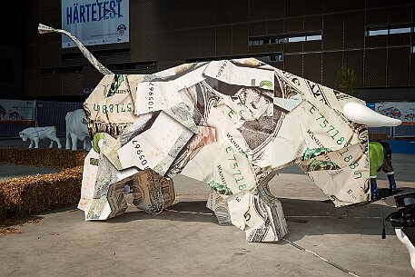 Stierparade Zug null