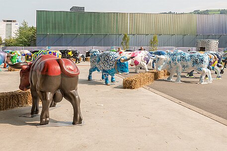 Stierparade Zug null