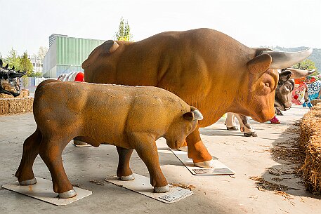 Stierparade Zug null