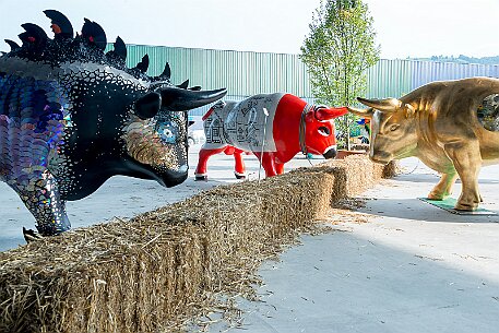 Stierparade Zug null