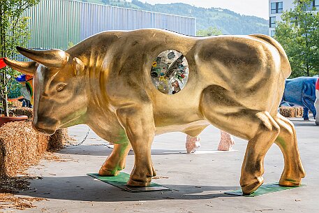 Stierparade Zug null