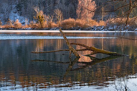 Wileroltigen - Niederried Naturschutzgebiet null