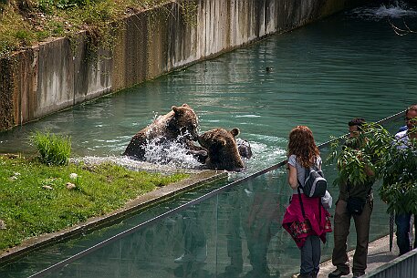 Berner Altstadt | Bärengraben null