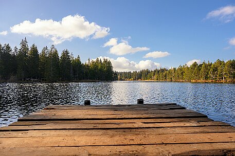 Étang de la Gruère null