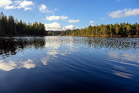 Étang de la Gruère null