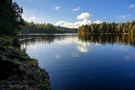 Étang de la Gruère null