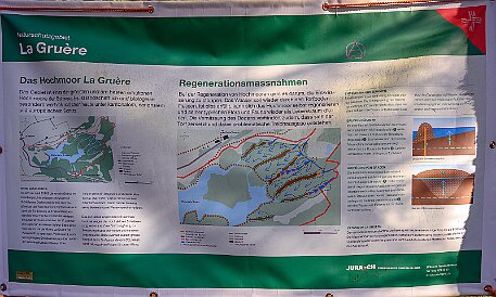 Étang de la Gruère null