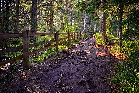 Étang de la Gruère null