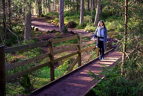 Étang de la Gruère null
