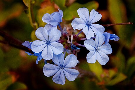 Fuerteventura - Costa Calma null