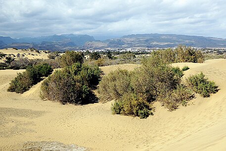 Gran Canaria - Dunas de Maspalomas null