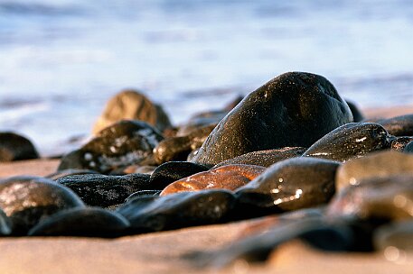 Gran Canaria - Dunas de Maspalomas null