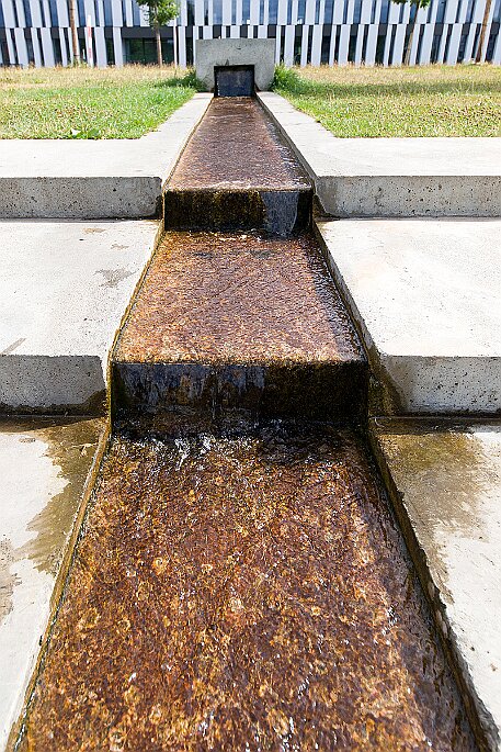 Liebefeld Park | Köniz BE null