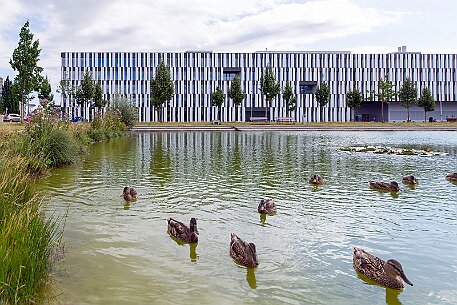 Liebefeld Park | Köniz BE null