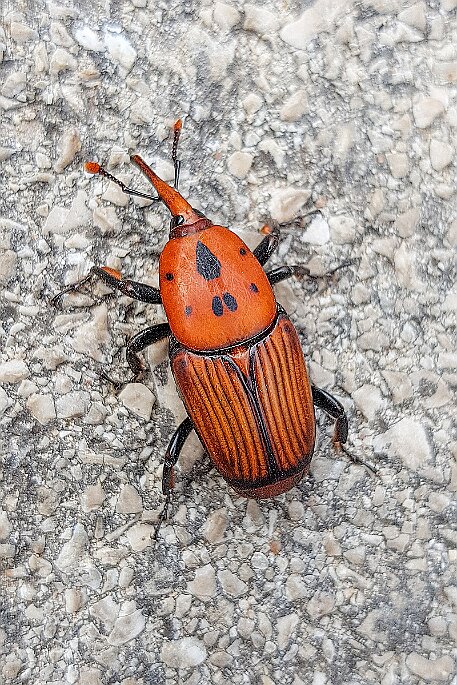 Kroatien_20180721_028 null