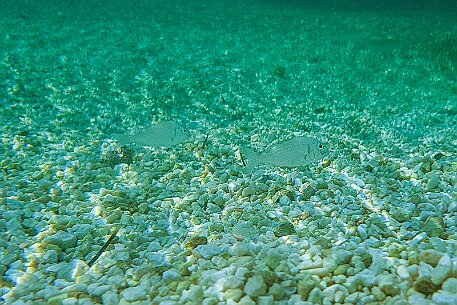 Kroatien_20180722_033 null