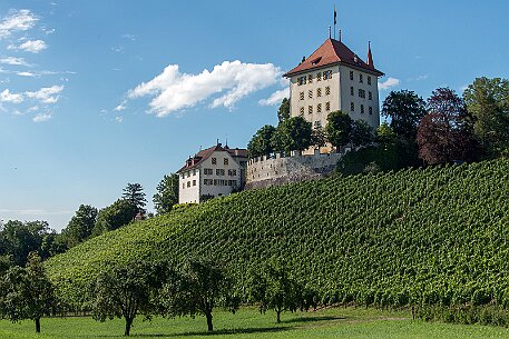Schloss Heidegg null