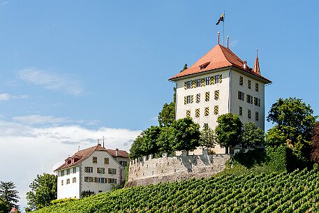 Schloss Heidegg null