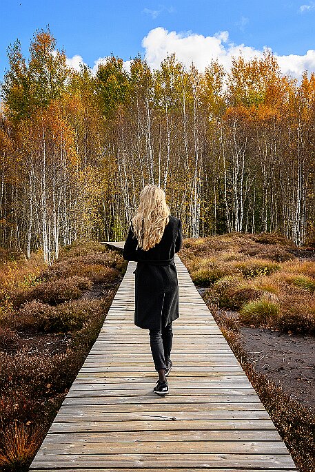 Tourbières des Ponts-de-Martel null