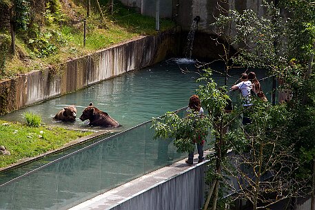 Berner Altstadt | Bärengraben null