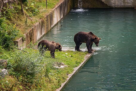 Berner Altstadt | Bärengraben null